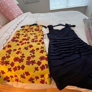 Spring Dresses - Alice and Olivia- $40 per dress